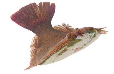 Similar image 13286714