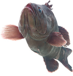 Similar image 13286715