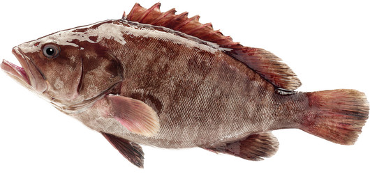 Similar image 13286676