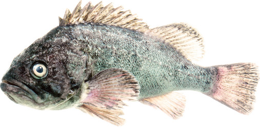 Similar image 13286677