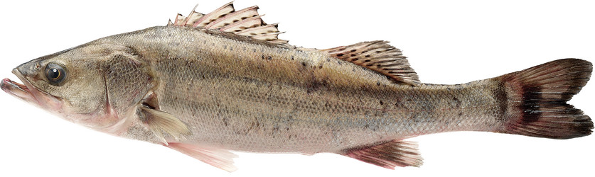 Similar image 13286679