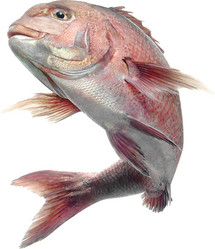 Similar image 13286682