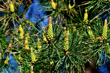 Similar image 13283004