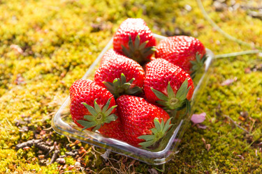 Similar image 13246021