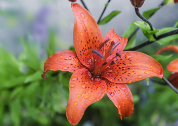 Similar image 13254137