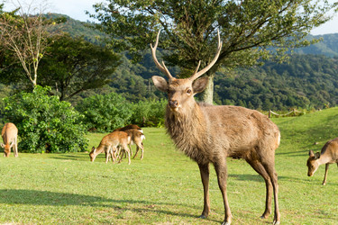 Similar image 13246301