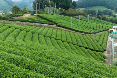 Similar image 13246735