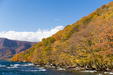 Similar image 13249912