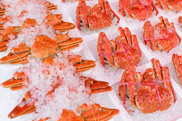 Similar image 13249941