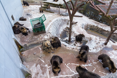 Similar image 13250059