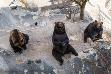 Similar image 13250073