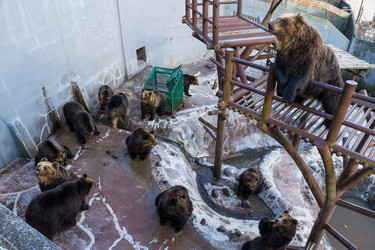 Similar image 13245884