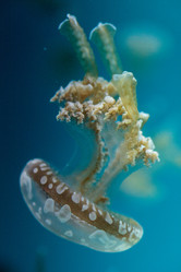 Similar image 13280758