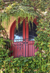 Similar image 13280779