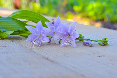 Similar image 13248912