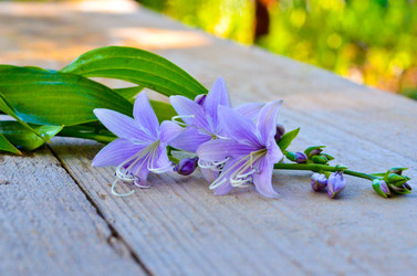 Similar image 13248913