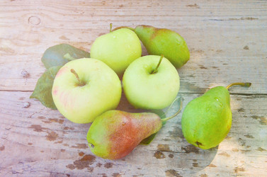 Similar image 13248921