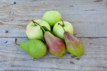 Similar image 13248923