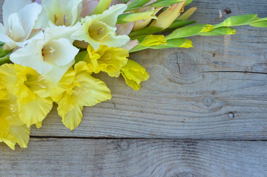 Similar image 13248924