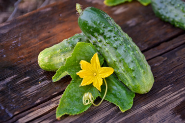 Similar image 13248925