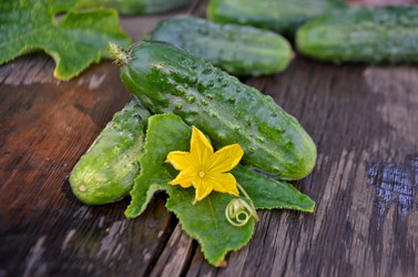 Similar image 13248926