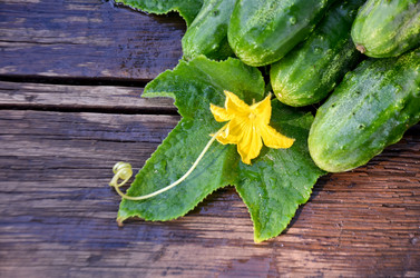 Similar image 13248927