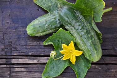 Similar image 13248928