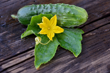 Similar image 13248929