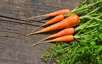 Similar image 13248936