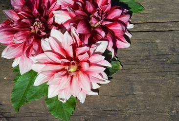 Similar image 13248946