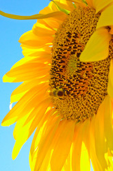 Similar image 13248851