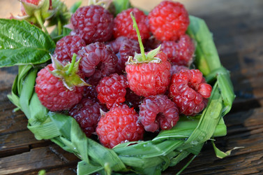 Similar image 13248853