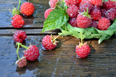 Similar image 13248855