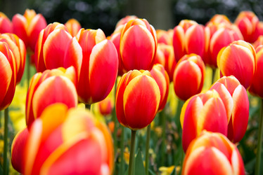 Similar image 13272284