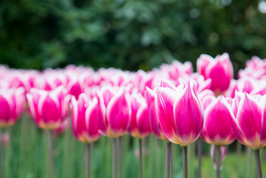 Similar image 13272304