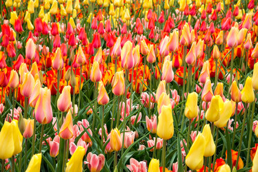 Similar image 13272305