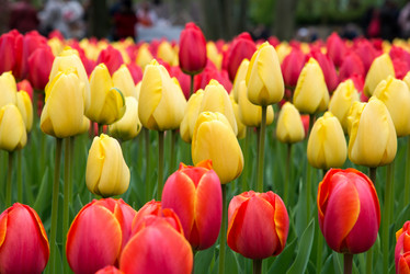 Similar image 13272306