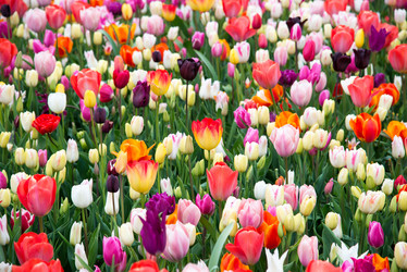 Similar image 13272307