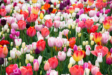 Similar image 13272308