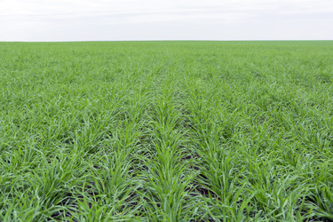 Similar image 13242771