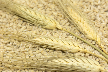 Similar image 13242786