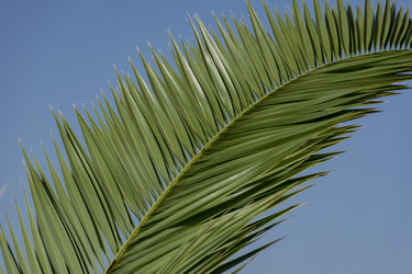 Similar image 13242789