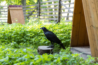 Similar image 13242795