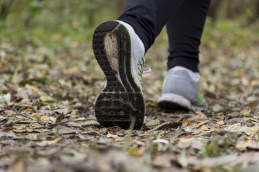 Similar image 13242796