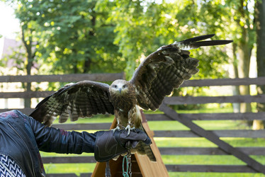 Similar image 13242797