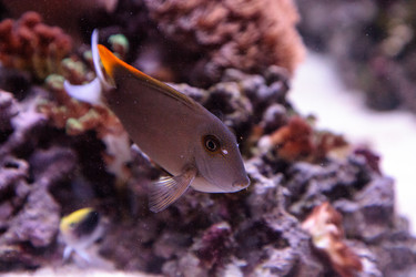 Similar image 13280781