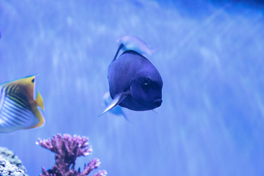 Similar image 13280782