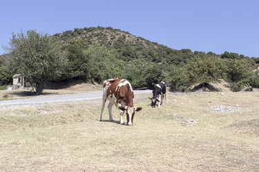 Similar image 13276951