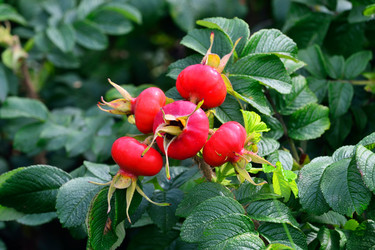 Similar image 13274084