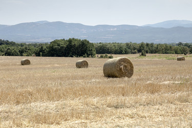 Similar image 13277021